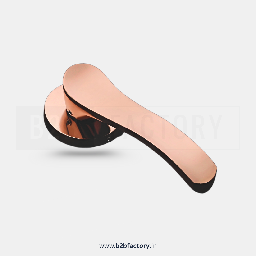 Brass Mortise Handle 029