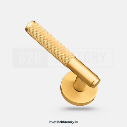 Brass Mortise Handle 023