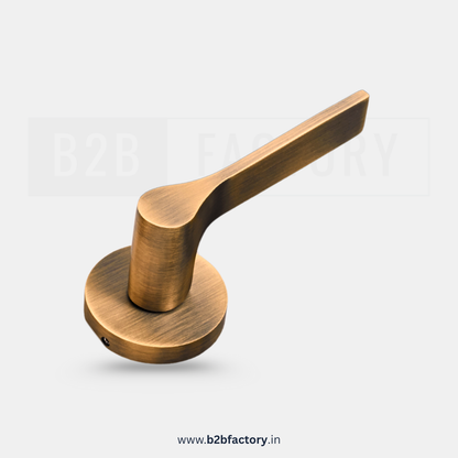 Brass Mortise Handle 040