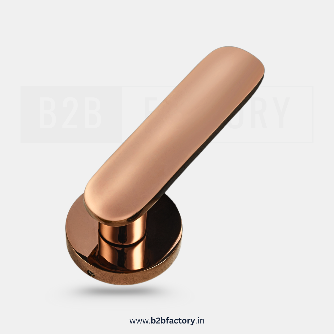 Brass Mortise Handle 042