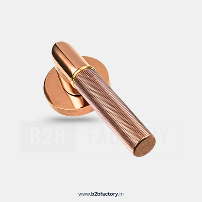 Brass Mortise Handle 048