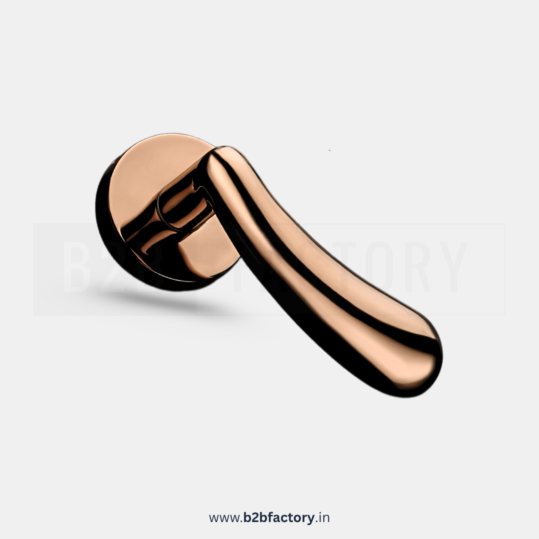 Brass Mortise Handle 010