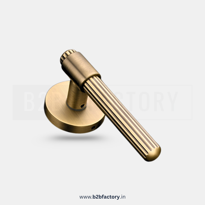 Brass Mortise Handle 012