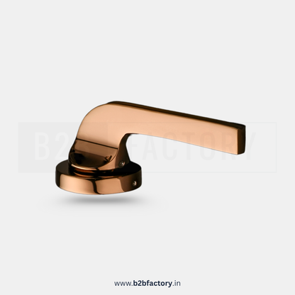Brass Mortise Handle 019