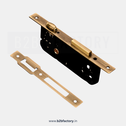 Cylinder Roller Lock Body